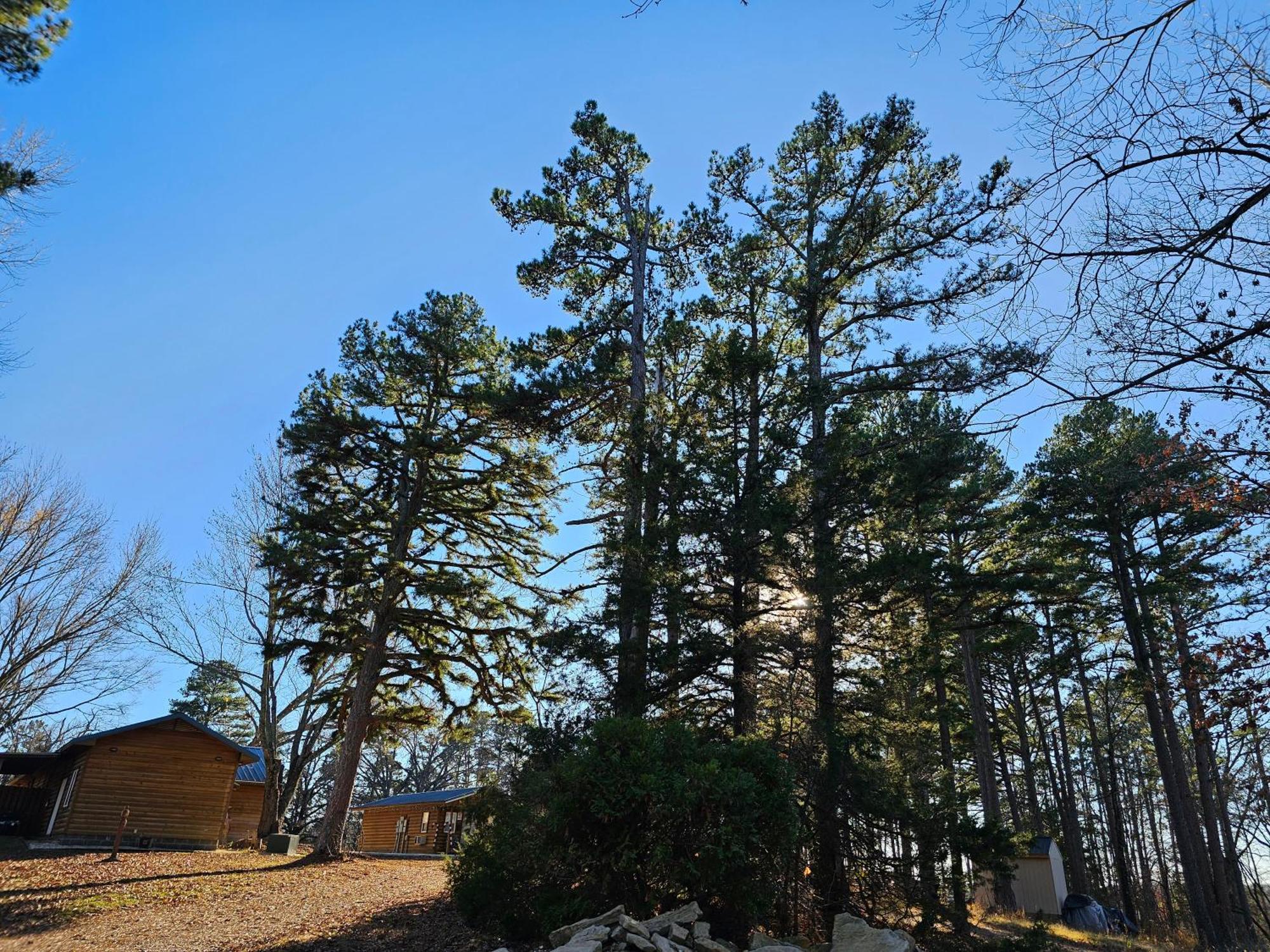 5 Min To Beaver Lake-King Bed-Fire Pit-Jetted Tub #4 Eureka Springs Bagian luar foto